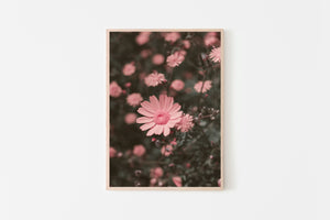 Pink flowers print, printable wall art, daisies, tropical print - prints-actually