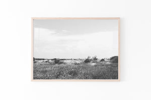 Black and white field print, printable wall art, landscape poster, horizontal - prints-actually