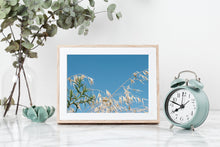 Load image into Gallery viewer, Blue sky print, printable wall art, landscape prints, golden leaves - prints-actually