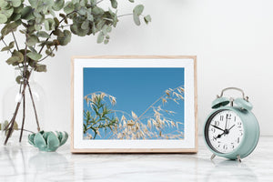 Blue sky print, printable wall art, landscape prints, golden leaves - prints-actually
