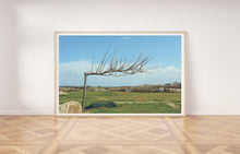 Load image into Gallery viewer, Naked tree print, blue sky, printable wall art, Tel Aviv Israel landscape - prints-actually