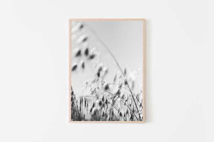 Black and white print, nature poster, digital prints, minimalist wall decor - prints-actually