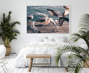 Seagulls print, printable wall art, Barcelona port, digital prints, birds poster - prints-actually