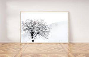 Snowy Tree Print, Printable Wall Art, Snow Landscape horizontal photography - prints-actually