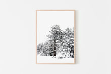 Load image into Gallery viewer, Snow on Trees Print, Andorra Poster, Printable Wall Art, Snowy Tree Winter - prints-actually