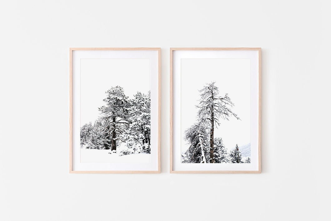 Set of 2 Snow on Trees Print, Black and White Prints, Printable Wall Art - prints-actually
