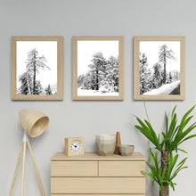 Load image into Gallery viewer, Set of 3 Snow on Trees Print, Black and White Prints, Printable Wall Art - prints-actually