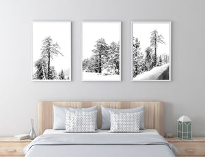 Set of 3 Snow on Trees Print, Black and White Prints, Printable Wall Art - prints-actually