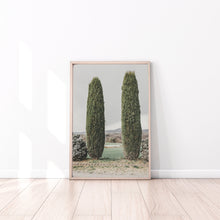 Load image into Gallery viewer, Two trees Print, green Cypress trees Spain, botanical decor, printable wall art - prints-actually