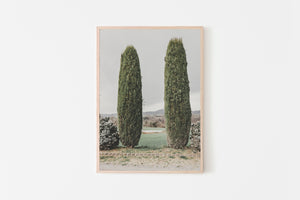 Two trees Print, green Cypress trees Spain, botanical decor, printable wall art - prints-actually
