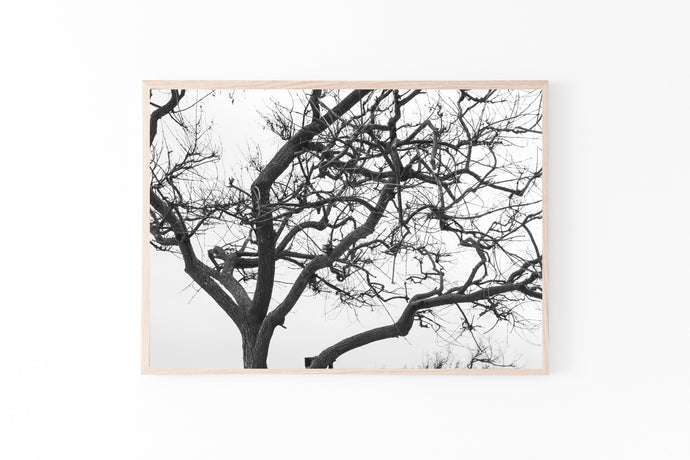 Black and white tree print, printable wall art, tree top with branches - prints-actually