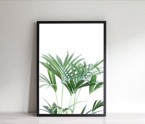 Plant Print, Green and White, Printable Wall Art, Instant Download - prints-actually