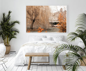 Willow tree print, printable wall art, Spain photography, digital prints - prints-actually