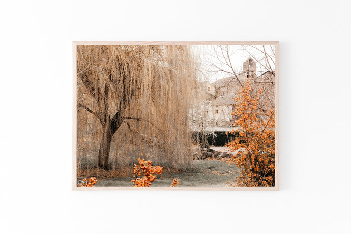 Willow tree print, printable wall art, Spain photography, digital prints - prints-actually
