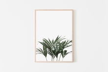 Load image into Gallery viewer, Plant Print, Dark Green, Printable Wall Art Decor, White Background - prints-actually