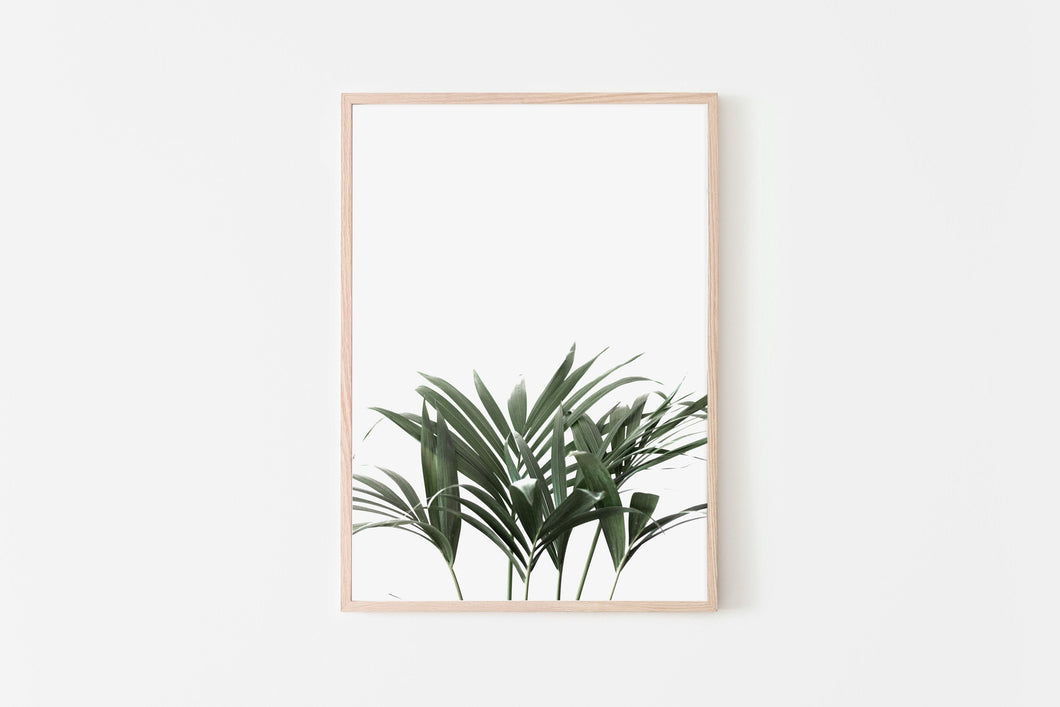 Plant Print, Dark Green, Printable Wall Art Decor, White Background - prints-actually