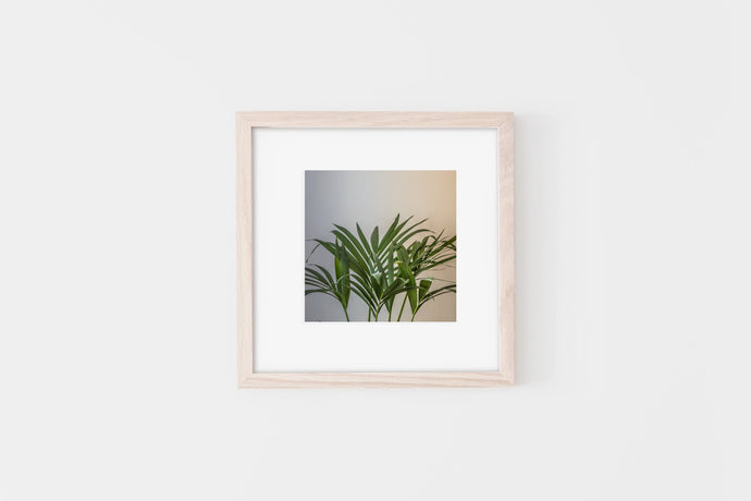 Plant Square Print, Green leaves, Printable Wall Art, Instant Download - prints-actually