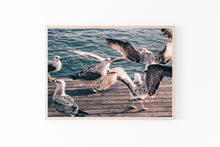 Load image into Gallery viewer, Seagulls print, printable wall art, Barcelona port, digital prints, birds poster - prints-actually