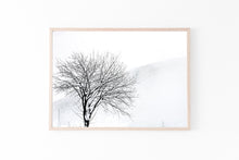 Load image into Gallery viewer, Snowy Tree Print, Printable Wall Art, Snow Landscape horizontal photography - prints-actually