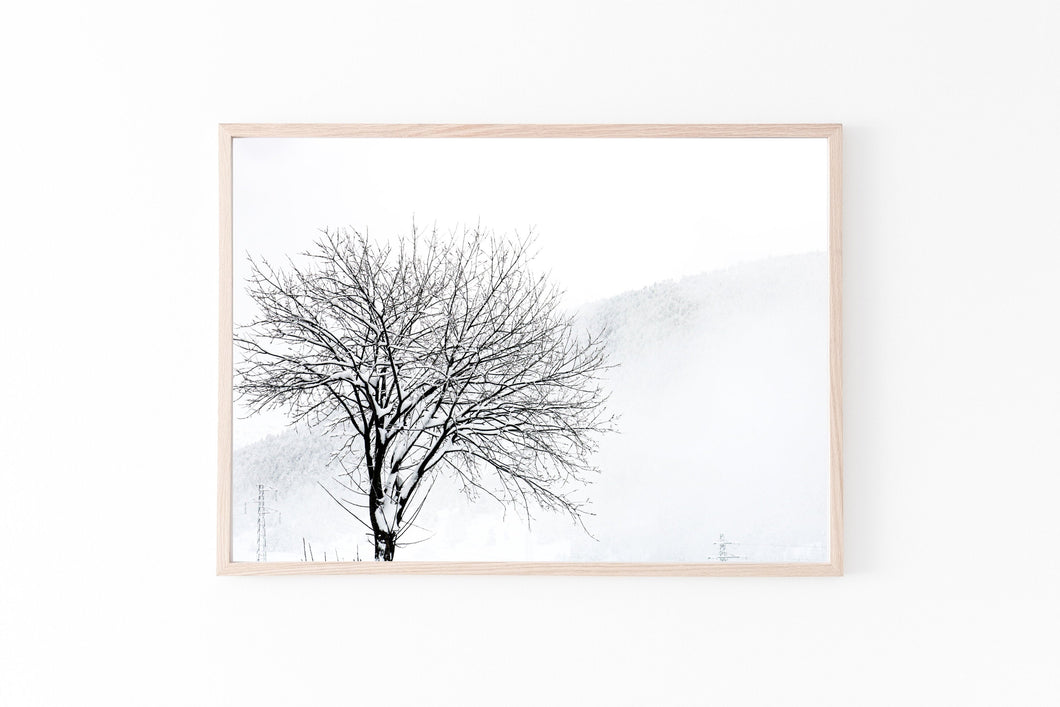 Snowy Tree Print, Printable Wall Art, Snow Landscape horizontal photography - prints-actually