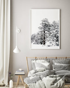 Snow on Trees Print, Andorra Poster, Printable Wall Art, Snowy Tree Winter - prints-actually