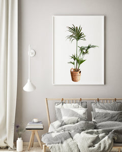 Palm tree plant print, printable wall art, green fronds, living room decor - prints-actually