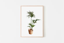 Load image into Gallery viewer, Palm tree plant print, printable wall art, green fronds, living room decor - prints-actually