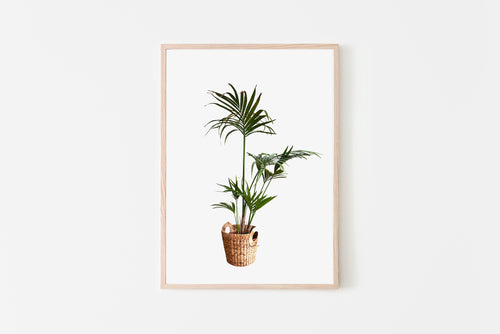 Palm tree plant print, printable wall art, green fronds, living room decor - prints-actually
