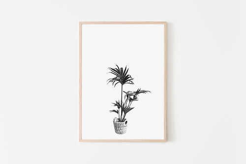 Palm Tree Plant Print, Printable Wall Art, Black and White Fronds, Digital Wall Prints - prints-actually