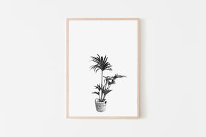 Palm Tree Plant Print, Printable Wall Art, Black and White Fronds, Digital Wall Prints - prints-actually