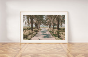 Palms road Print, Printable Wall Art, Sea of Galilee Israel Landscape, Tree Lined Road - prints-actually
