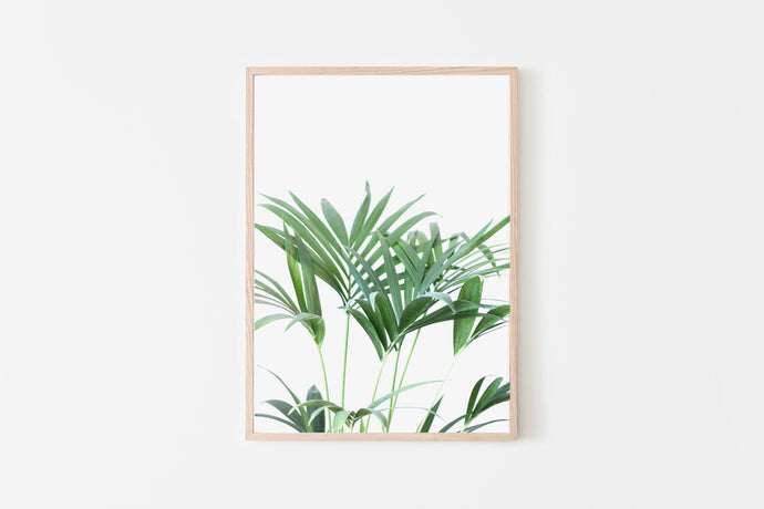 Plant Print, Green and White, Printable Wall Art, Instant Download - prints-actually