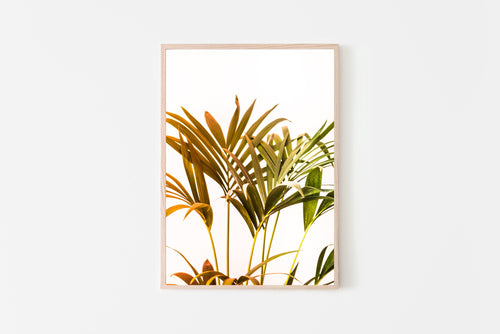 Plant Print, Retro Colors, Printable Wall Art, Gallery Wall, Minimalist Print - prints-actually