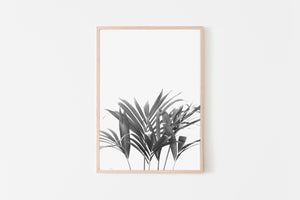 Palm Plant Print, Black and White Fronds, Printable Wall Art - prints-actually