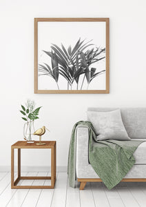 Palm Plant Square Print, Black and White Fronds, Printable Wall Art - prints-actually