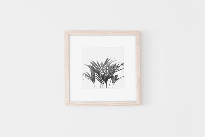 Palm Plant Square Print, Black and White Fronds, Printable Wall Art - prints-actually