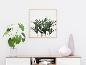 Plant Square Print, Dark Green, Printable Wall Art Decor, White Background - prints-actually