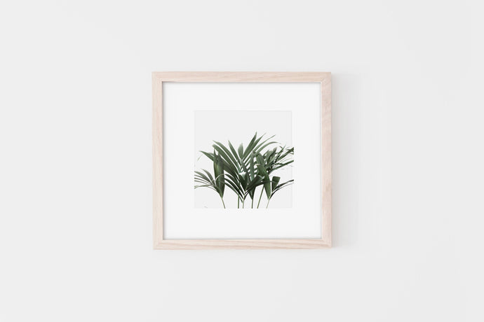 Plant Square Print, Dark Green, Printable Wall Art Decor, White Background - prints-actually