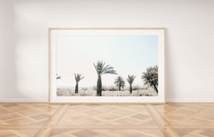 Palm Trees Print, Printable, Sea of Galilee Israel Landscape, Nature Photography - prints-actually