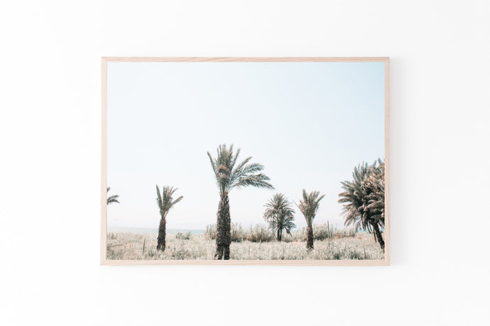 Palm Trees Print, Printable, Sea of Galilee Israel Landscape, Nature Photography - prints-actually