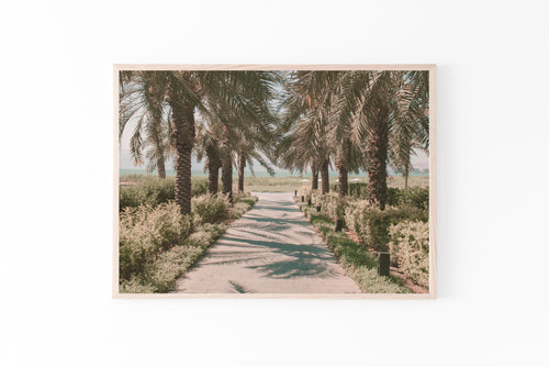 Palms road Print, Printable Wall Art, Sea of Galilee Israel Landscape, Tree Lined Road - prints-actually