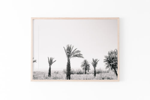 Black and White Palm Trees Print, Sea of Galilee Israel Landscape - prints-actually