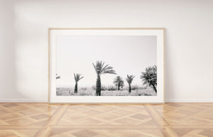 Black and White Palm Trees Print, Sea of Galilee Israel Landscape - prints-actually