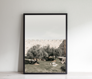 תמונה לקיר של ירושלים, פרינט להורדה והדפסה