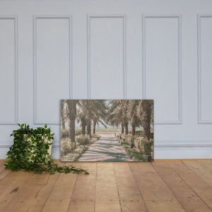 Palm trees road Canvas - prints-actually