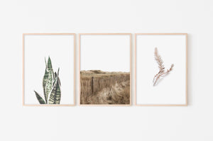 סט של שלוש תמונות לקיר של צילומי טבע, קיר גלריה, פרינטים להדפסה