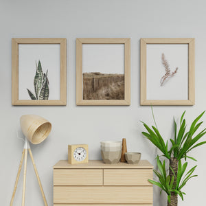 סט של שלוש תמונות לקיר של צילומי טבע, קיר גלריה, פרינטים להדפסה