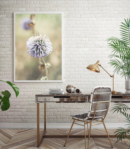 Purple Flower Print, Echinops Ritro Globe Thistle Poster, Botanical Print