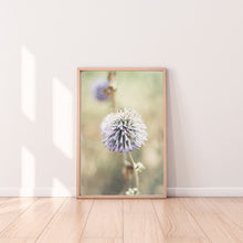Load image into Gallery viewer, תמונת קיר של פרח קיפודן סגול, פרינט להדפסה
