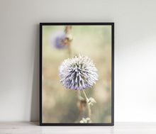Load image into Gallery viewer, Purple Flower Print, Echinops Ritro Globe Thistle Poster, Botanical Print